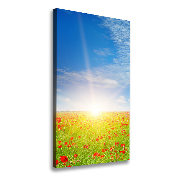 Verticale canvasfoto Klaprozenveld