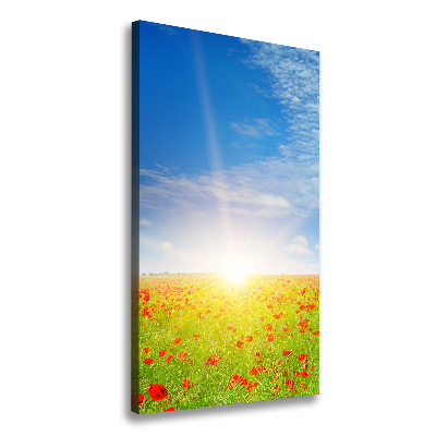 Verticale canvasfoto Klaprozenveld