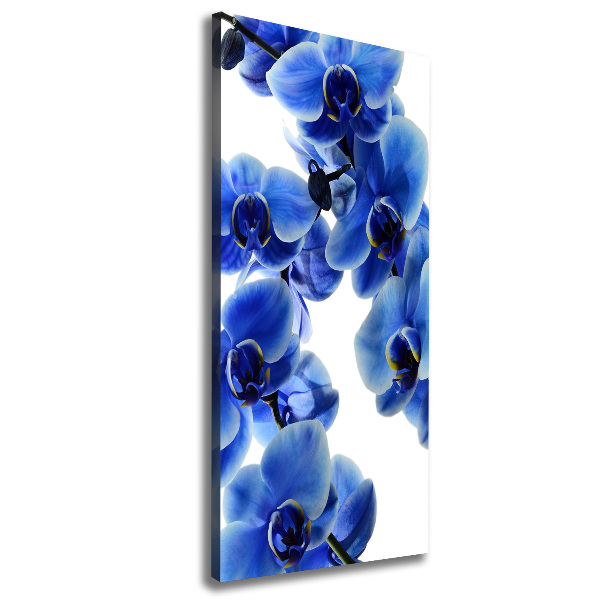 Verticale canvasfoto Blauwe orchidee