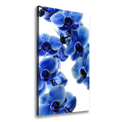Verticale canvasfoto Blauwe orchidee
