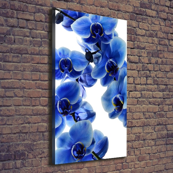 Verticale canvasfoto Blauwe orchidee
