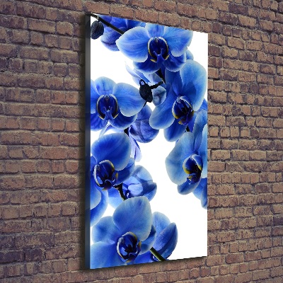 Verticale canvasfoto Blauwe orchidee