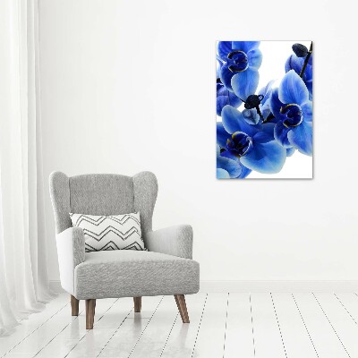 Verticale canvasfoto Blauwe orchidee