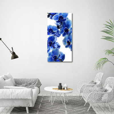 Verticale canvasfoto Blauwe orchidee