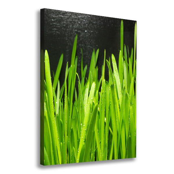 Verticaal canvasschilderij grassprieten