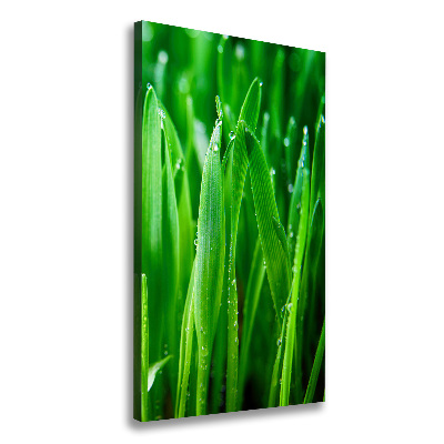 Verticale foto op canvas grassprieten