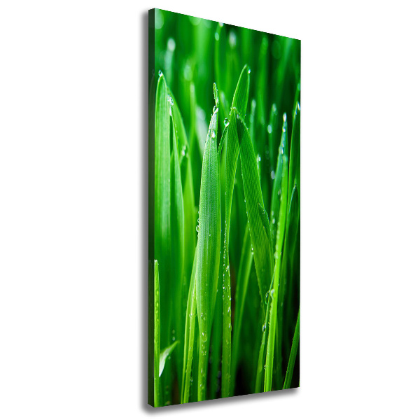 Verticale foto op canvas grassprieten