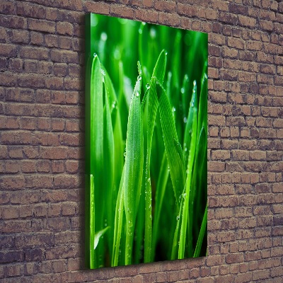Verticale foto op canvas grassprieten