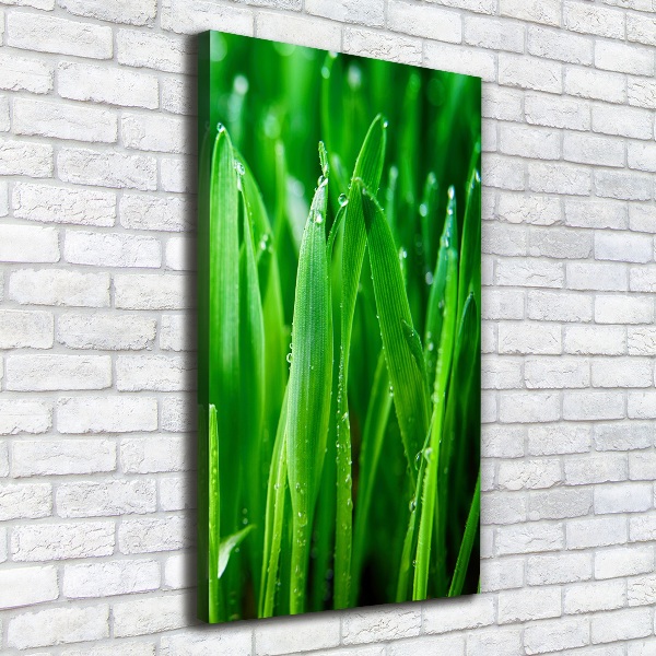 Verticale foto op canvas grassprieten
