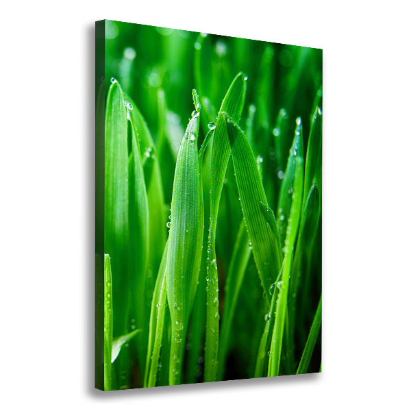 Verticale foto op canvas grassprieten