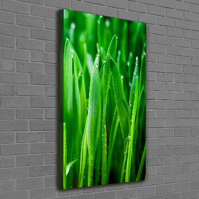 Verticale foto op canvas grassprieten