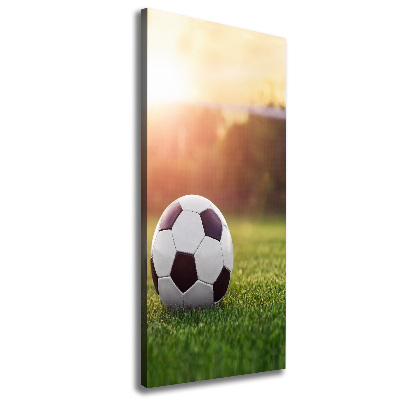 Verticaal canvasschilderij Voetbal
