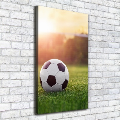 Verticaal canvasschilderij Voetbal
