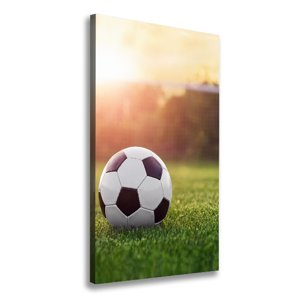 Verticaal canvasschilderij Voetbal