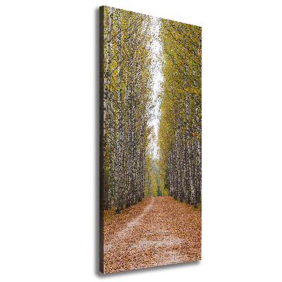 Verticaal canvasschilderij Berkenbos