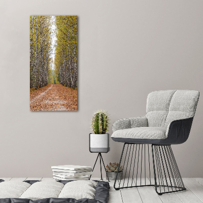 Verticaal canvasschilderij Berkenbos