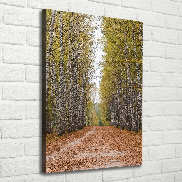 Verticaal canvasschilderij Berkenbos