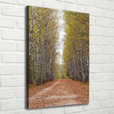 Verticaal canvasschilderij Berkenbos
