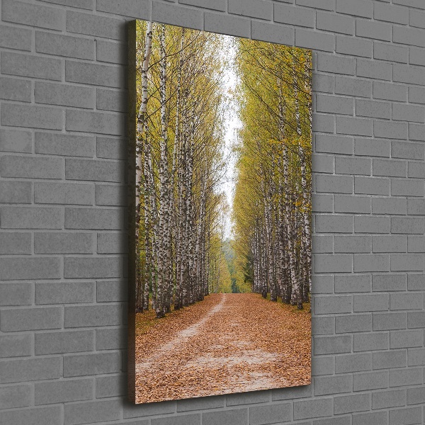 Verticaal canvasschilderij Berkenbos
