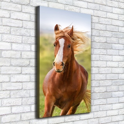 Verticaal schilderij op canvas Een galopperend paard
