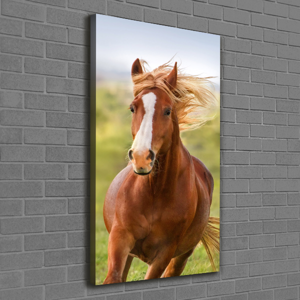 Verticaal schilderij op canvas Een galopperend paard