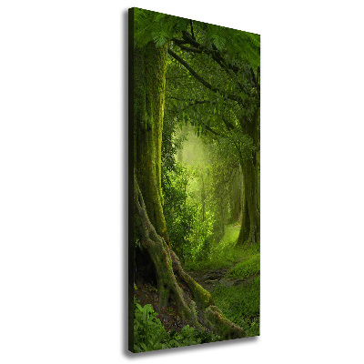 Verticale foto op canvas Tropische jungle