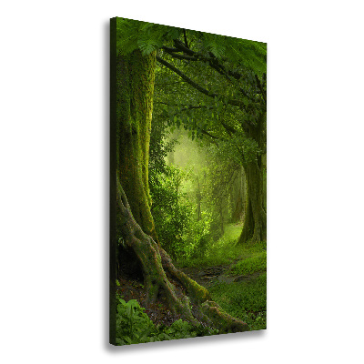 Verticale foto op canvas Tropische jungle