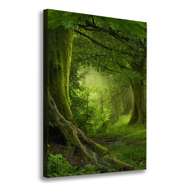 Verticale foto op canvas Tropische jungle