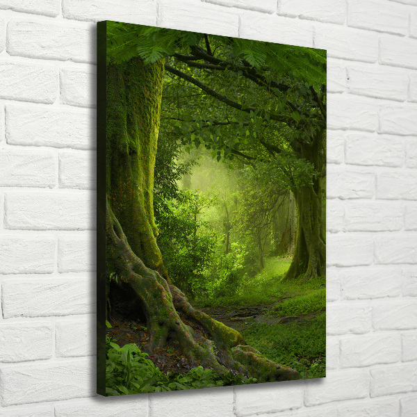 Verticale foto op canvas Tropische jungle