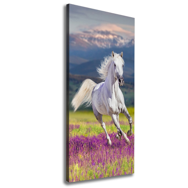 Verticale foto op canvas Een wit paard in galop