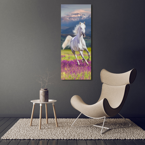 Verticale foto op canvas Een wit paard in galop