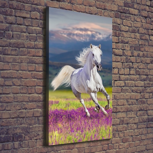 Verticale foto op canvas Een wit paard in galop