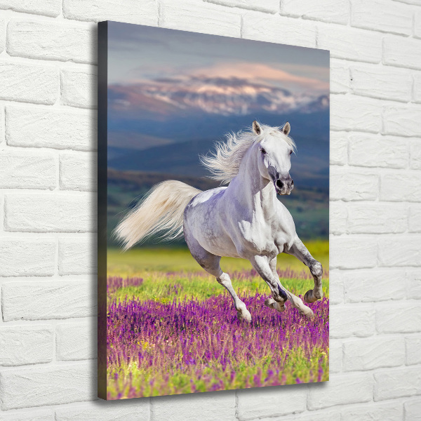 Verticale foto op canvas Een wit paard in galop