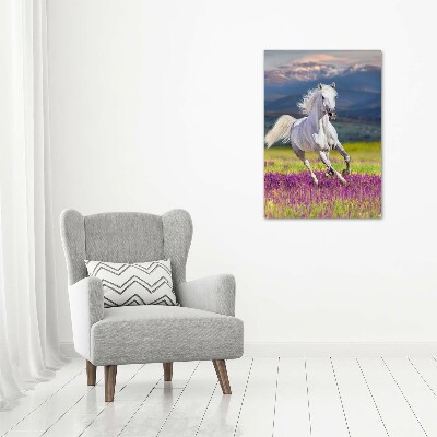 Verticale foto op canvas Een wit paard in galop