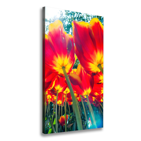 Verticaal canvasschilderij Rode tulpen
