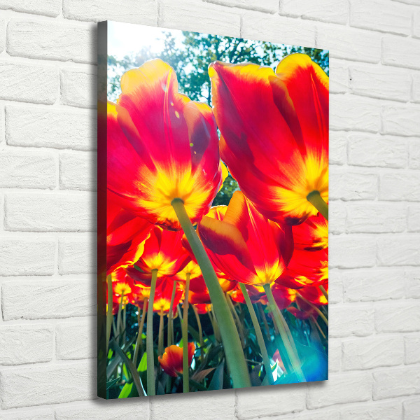 Verticaal canvasschilderij Rode tulpen