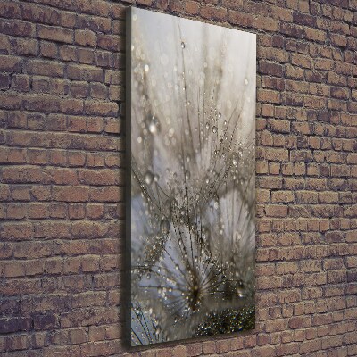 Verticale canvasfoto Paardenbloemzaden