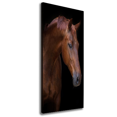Verticale canvasfoto Portret van een paard