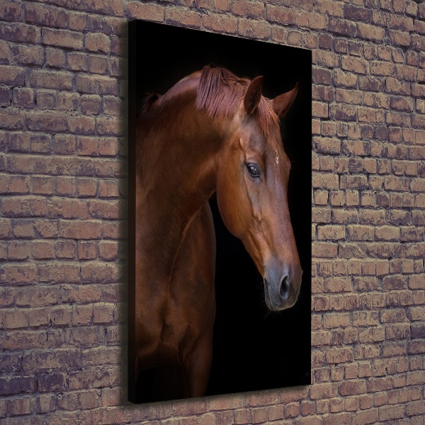 Verticale canvasfoto Portret van een paard