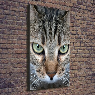 Verticaal canvasschilderij Kattenogen