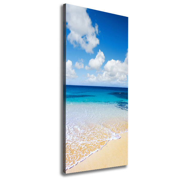 Verticale foto op canvas Tropisch strand