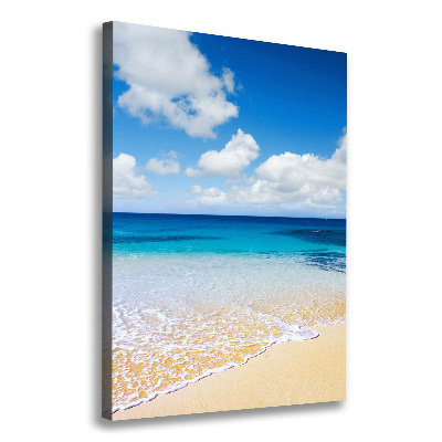 Verticale foto op canvas Tropisch strand
