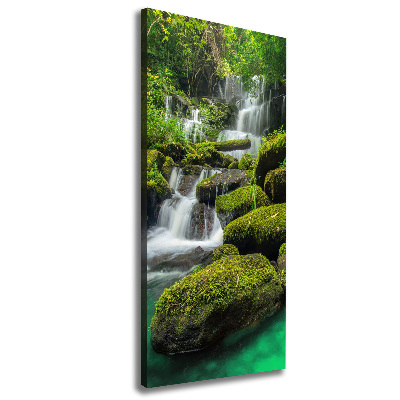 Verticaal schilderij op canvas Waterval in de jungle