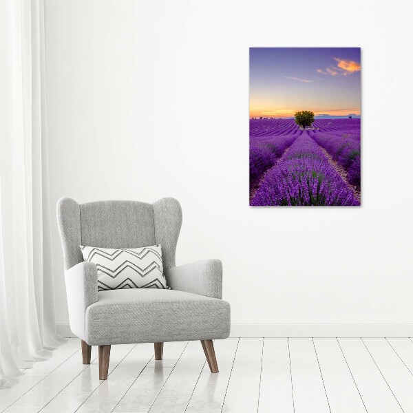 Verticale foto op canvas Lavendelveld