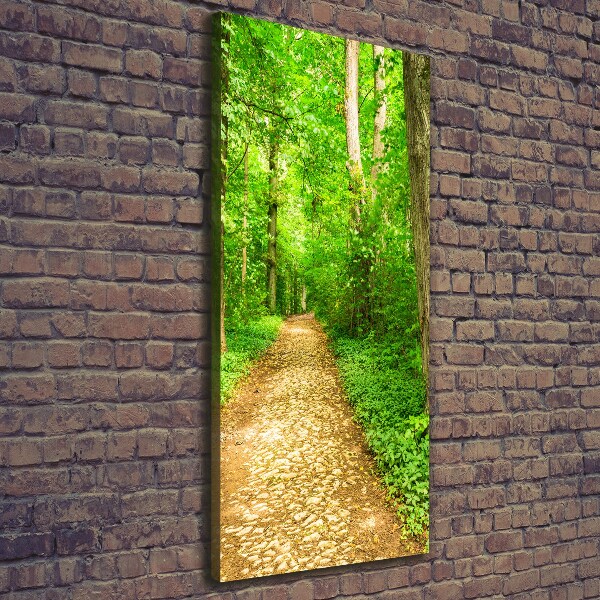 Verticale foto op canvas Pad in het bos