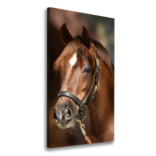 Verticaal canvasschilderij Portret van een paard