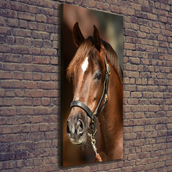 Verticaal canvasschilderij Portret van een paard