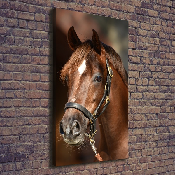 Verticaal canvasschilderij Portret van een paard
