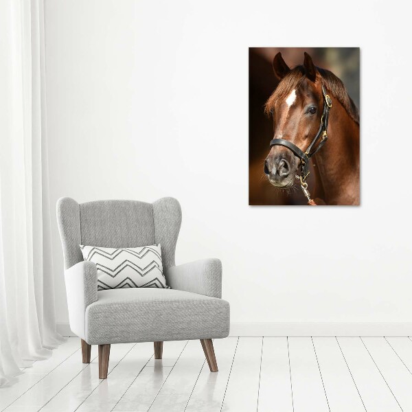 Verticaal canvasschilderij Portret van een paard