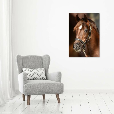 Verticaal canvasschilderij Portret van een paard